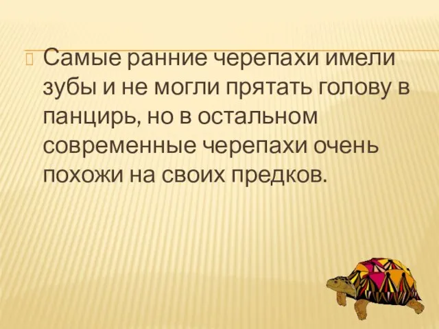 Самые ранние черепахи имели зубы и не могли прятать голову в панцирь,