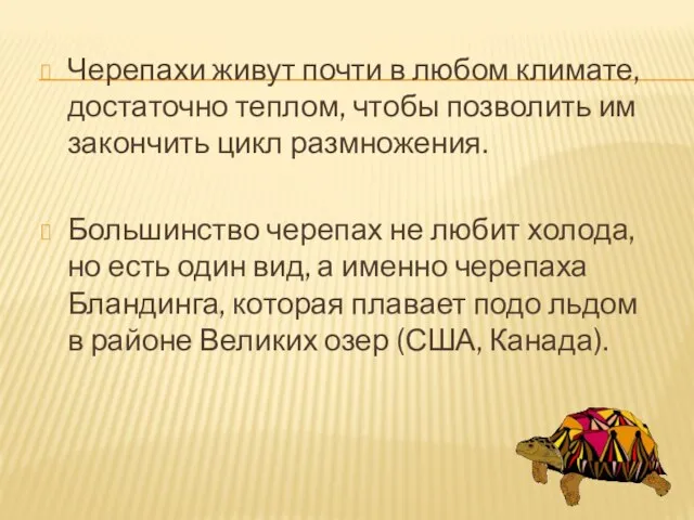 Черепахи живут почти в любом климате, достаточно теплом, чтобы позволить им закончить