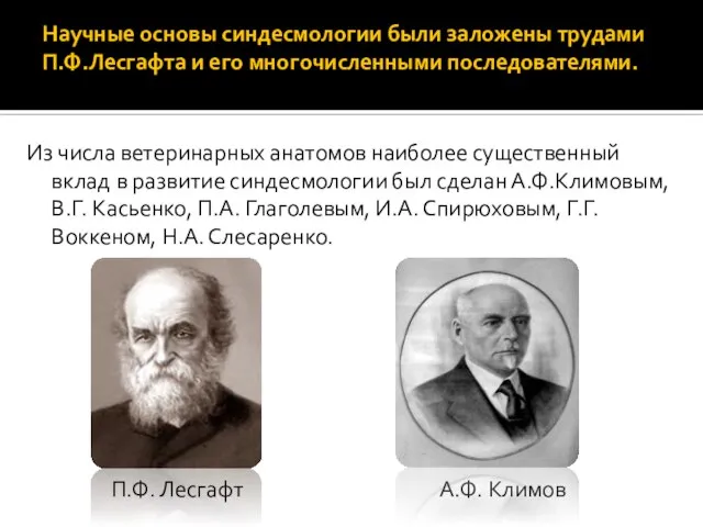 Научные основы синдесмологии были заложены трудами П.Ф.Лесгафта и его многочисленными последователями. Из