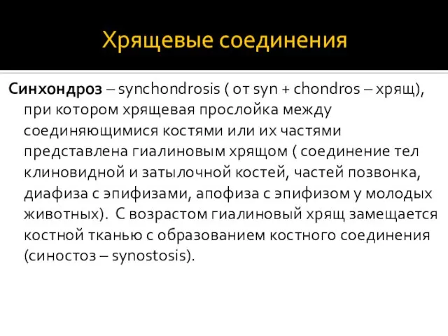 Хрящевые соединения Синхондроз – synchondrosis ( от syn + chondros – хрящ),