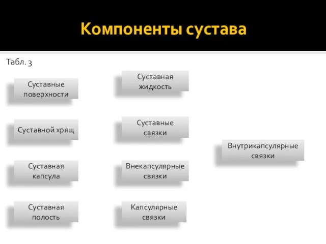 Компоненты сустава Табл. 3 Суставные поверхности Суставной хрящ Суставная капсула Суставная полость