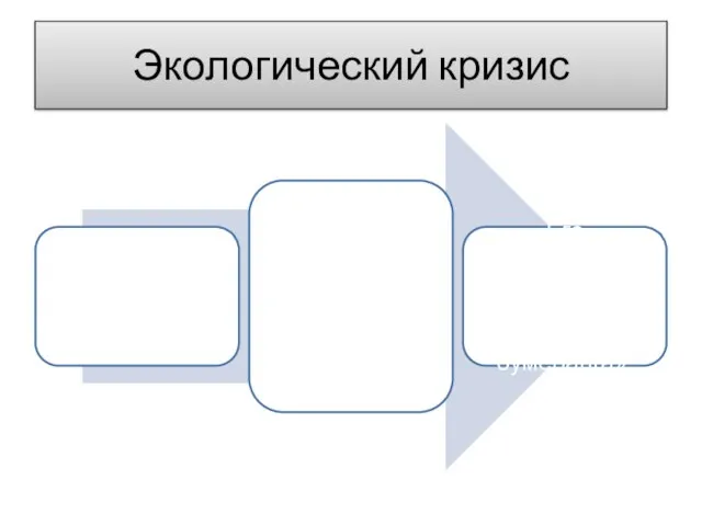 Эколо­гический кризис