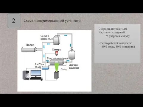 2 Скорость потока: 4 лм Частота сокращений: 75 ударов в минуту Состав