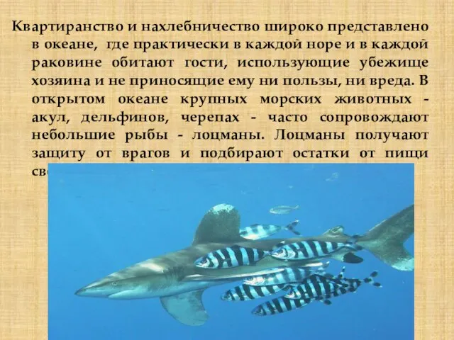 Квартиранство и нахлебничество широко представлено в океане, где практически в каждой норе