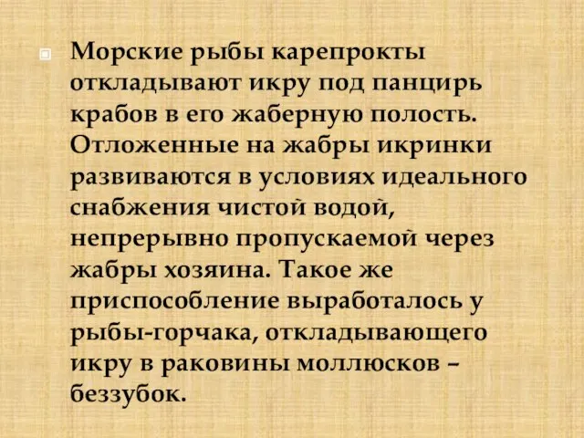 Морские рыбы карепрокты откладывают икру под панцирь крабов в его жаберную полость.