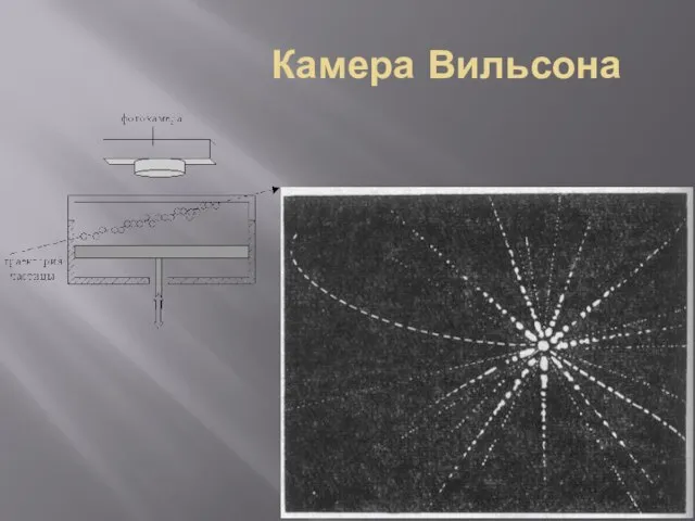 Камера Вильсона