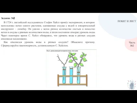 ПОБЕГ И ЛИСТ Часть №2 В 1724 г. английский исследователь Стефан Хейлз