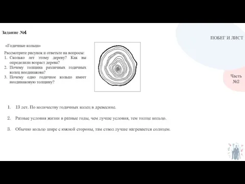 ПОБЕГ И ЛИСТ Часть №2 Задание №4 13 лет. По количеству годичных