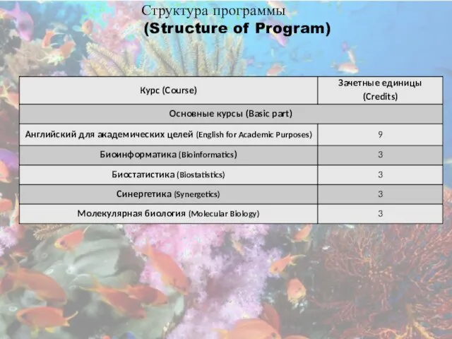 Структура программы (Structure of Program)