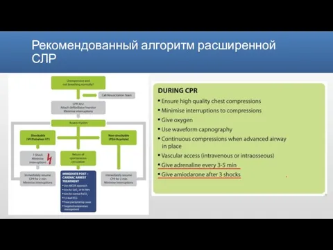 Рекомендованный алгоритм расширенной СЛР