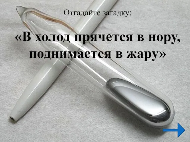 Отгадайте загадку: «В холод прячется в нору, поднимается в жару»