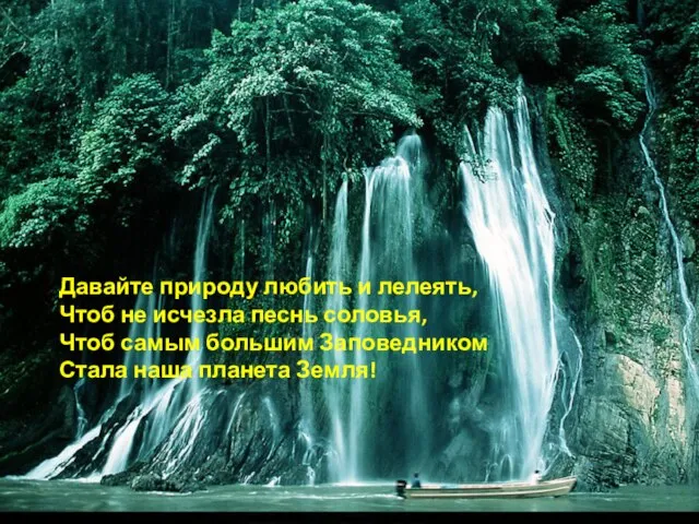 Давайте природу любить и лелеять, Чтоб не исчезла песнь соловья, Чтоб самым