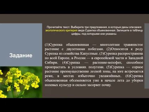 Задание Прочитайте текст. Выберите три предложения, в которых даны описания экологического критерия