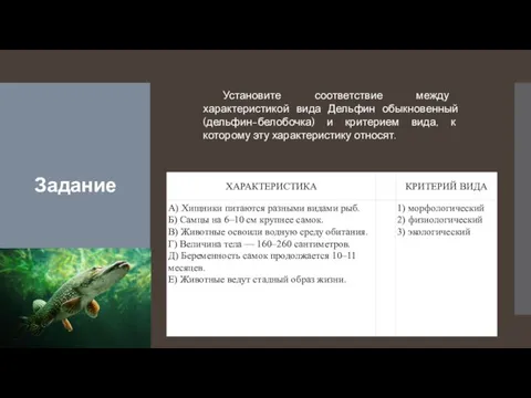 Задание Установите соответствие между характеристикой вида Дельфин обыкновенный (дельфин-белобочка) и критерием вида,