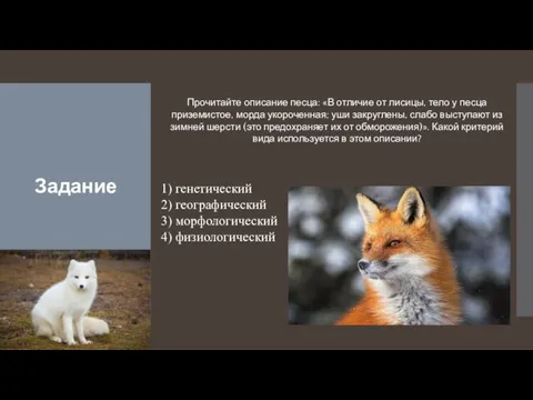 Задание Прочитайте описание песца: «В отличие от лисицы, тело у песца приземистое,