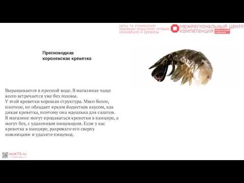 Пресноводная королевская креветка Выращивается в пресной воде. В магазинах чаще всего встречается