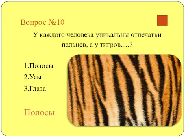 Вопрос №10 У каждого человека уникальны отпечатки пальцев, а у тигров….? 1.Полосы 2.Усы 3.Глаза Полосы