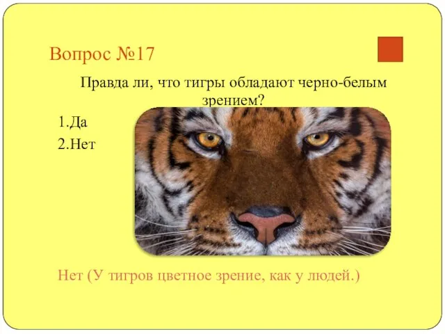 Вопрос №17 Правда ли, что тигры обладают черно-белым зрением? 1.Да 2.Нет Нет