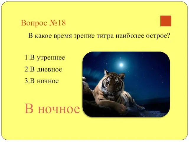 Вопрос №18 В какое время зрение тигра наиболее острое? 1.В утреннее 2.В