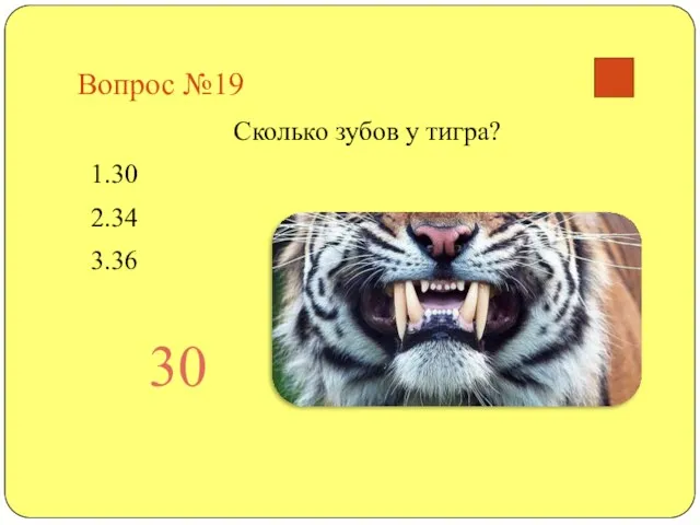 Вопрос №19 Сколько зубов у тигра? 1.30 2.34 3.36 30