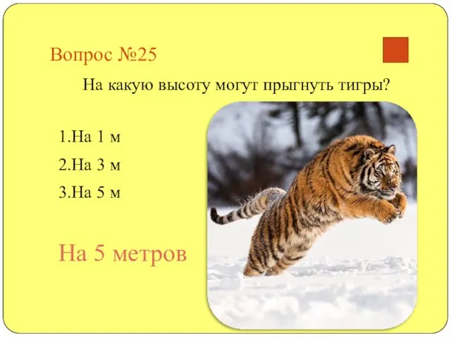 Вопрос №25 На какую высоту могут прыгнуть тигры? 1.На 1 м 2.На