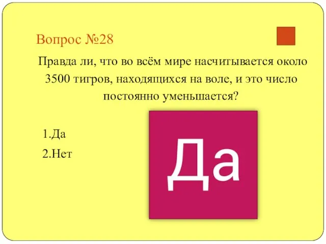 Вопрос №28 Правда ли, что во всём мире насчитывается около 3500 тигров,