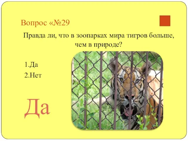 Вопрос «№29 Правда ли, что в зоопарках мира тигров больше, чем в природе? 1.Да 2.Нет Да