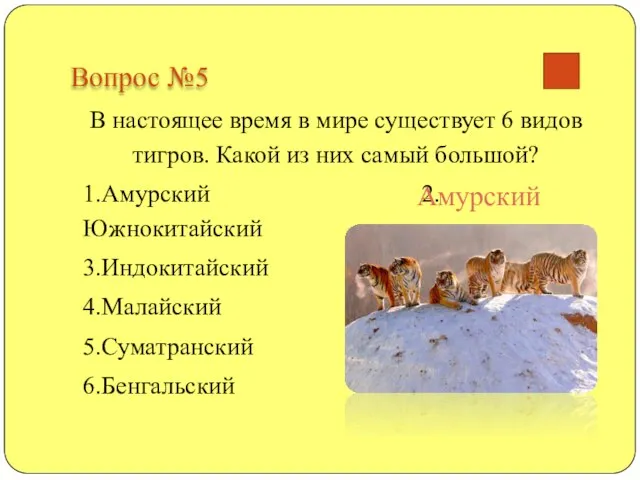 Вопрос №5 В настоящее время в мире существует 6 видов тигров. Какой