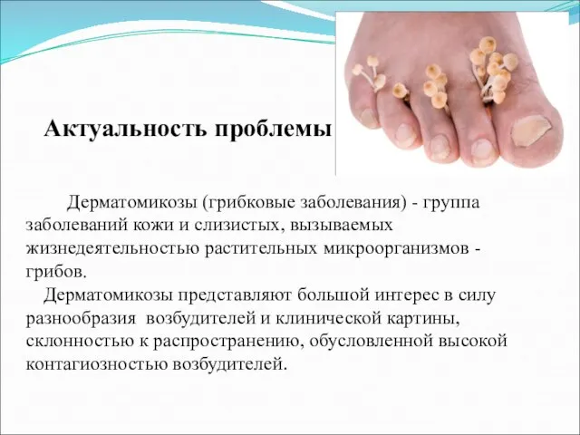 Актуальность проблемы Дерматомикозы (грибковые заболевания) - группа заболеваний кожи и слизистых, вызываемых