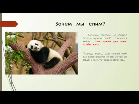 Зачем мы спим? Главным ответом на вопрос "зачем нужен сон?" становится вывод