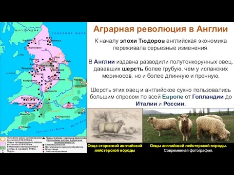 К началу эпохи Тюдоров английская экономика переживала серьезные изменения. В Англии издавна