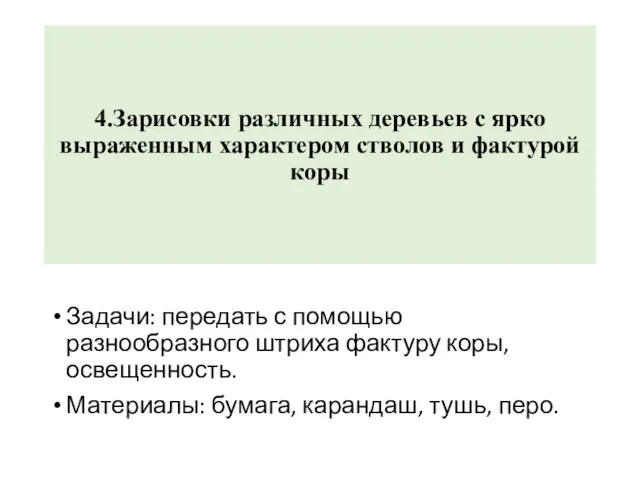 4.Зарисовки различных деревьев с ярко выраженным характером стволов и фактурой коры Задачи: