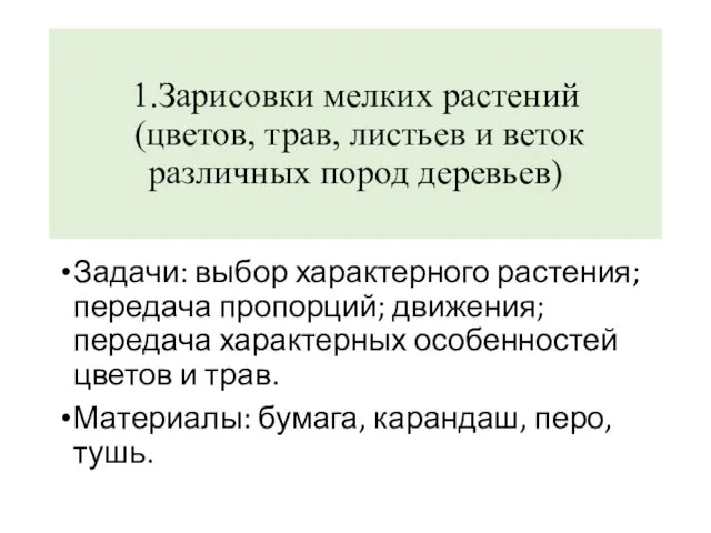 1.Зарисовки мелких растений (цветов, трав, листьев и веток различных пород деревьев) Задачи: