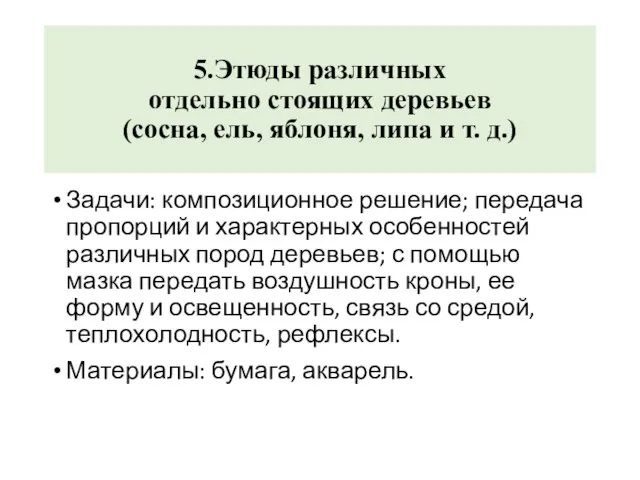 5.Этюды различных отдельно стоящих деревьев (сосна, ель, яблоня, липа и т. д.)