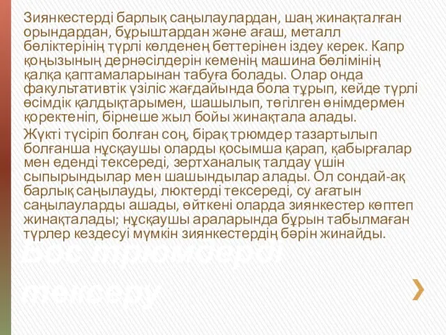 Бос трюмдерді тексеру Зиянкестерді барлық саңылаулардан, шаң жинақталған орындардан, бұрыштардан және ағаш,