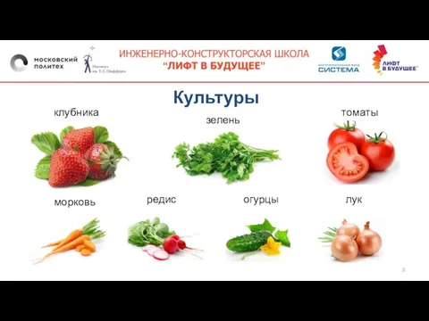 Культуры клубника зелень томаты морковь редис огурцы лук