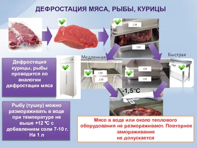 ДЕФРОСТАЦИЯ МЯСА, РЫБЫ, КУРИЦЫ СМ СМ СМ СМ СМ СМ СМ -1,5°С