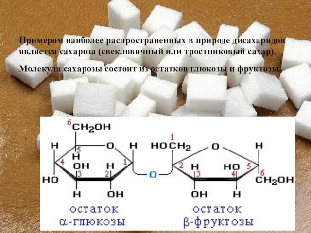 Примером наиболее распространенных в природе дисахаридов является сахароза (свекловичный или тростниковый сахар).