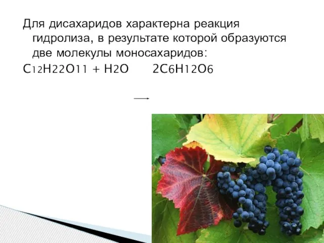 Для дисахаридов характерна реакция гидролиза, в результате которой образуются две молекулы моносахаридов: C12H22O11 + H2O 2C6H12O6