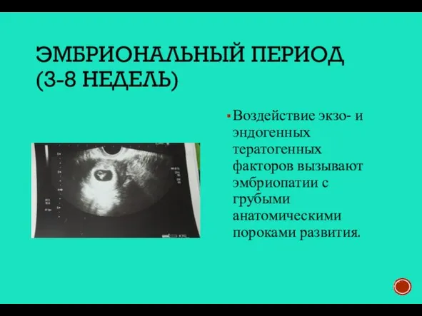 ЭМБРИОНАЛЬНЫЙ ПЕРИОД (3-8 НЕДЕЛЬ) Воздействие экзо- и эндогенных тератогенных факторов вызывают эмбриопатии