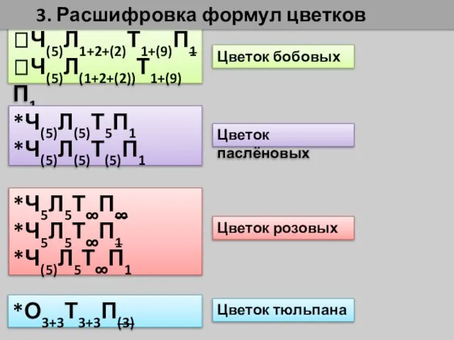 ?Ч(5)Л1+2+(2)Т1+(9)П1 ?Ч(5)Л(1+2+(2))Т1+(9)П1 Цветок бобовых *Ч(5)Л(5)Т5П1 *Ч(5)Л(5)Т(5)П1 *Ч5Л5Т∞П∞ *Ч5Л5Т∞П1 *Ч(5)Л5Т∞П1 *О3+3Т3+3П(3) Цветок тюльпана