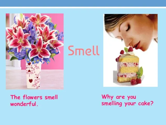 Smell The flowers smell wonderful. Why are you smelling your cake?