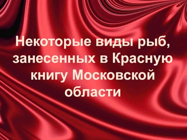 Некоторые виды рыб, занесенных в Красную книгу Московской области