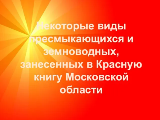 Некоторые виды пресмыкающихся и земноводных, занесенных в Красную книгу Московской области