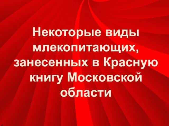 Некоторые виды млекопитающих, занесенных в Красную книгу Московской области