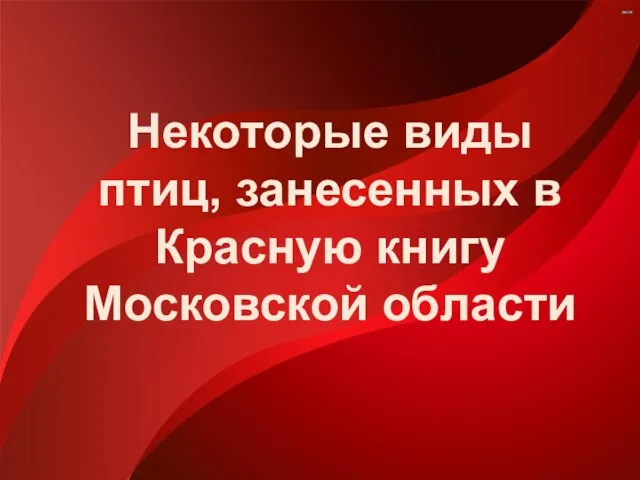 Некоторые виды птиц, занесенных в Красную книгу Московской области