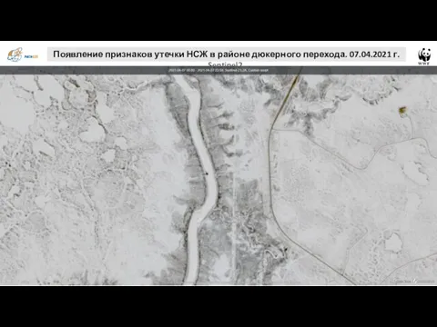 Появление признаков утечки НСЖ в районе дюкерного перехода. 07.04.2021 г. Sentinel2.