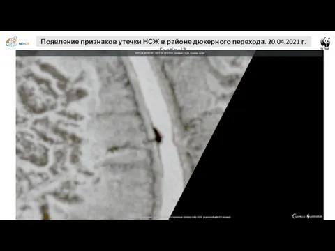 Появление признаков утечки НСЖ в районе дюкерного перехода. 20.04.2021 г. Sentinel2.