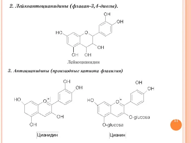 2. Лейкоантоцианидины (флаван-3,4-диолы). Лейкоцианидин 3. Антоцианидины (производные катиона флавилия)