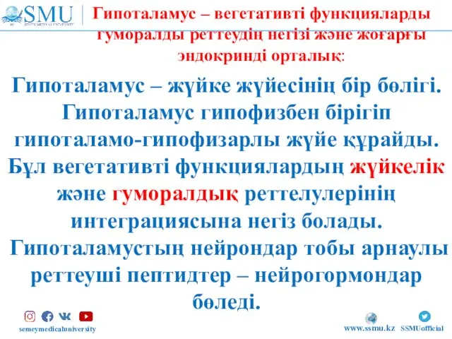 semeymedicaluniversity SSMUofficial www.ssmu.kz Гипоталамус – жүйке жүйесінің бір бөлігі. Гипоталамус гипофизбен бірігіп